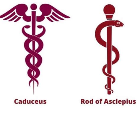 what does caduceus mean